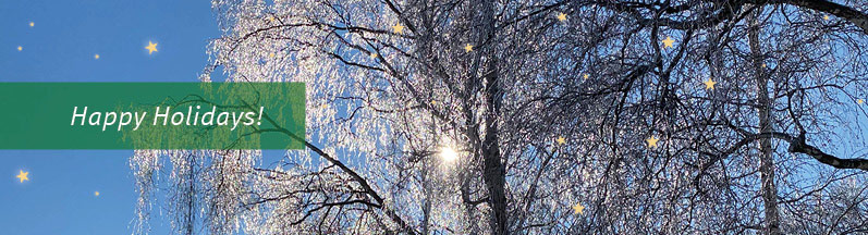 lhotzky-and-partner-ingenieurbuero-wishes-happy-holidays_e